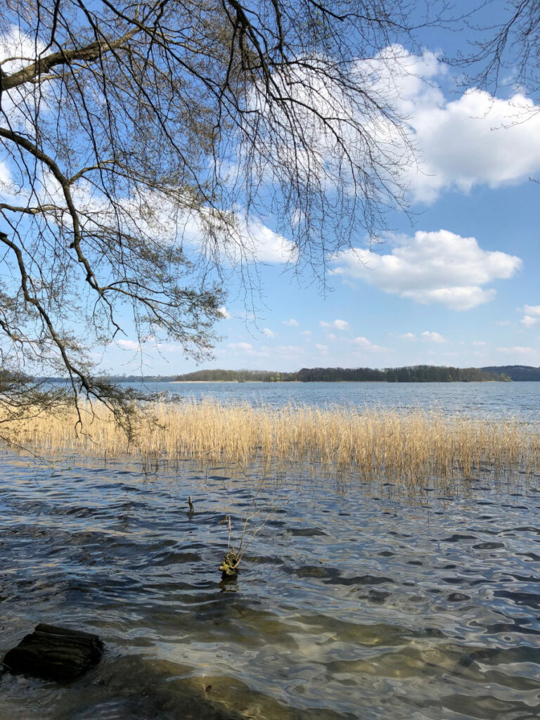 Wellen die ans Ufer des Schweriner Sees spülen